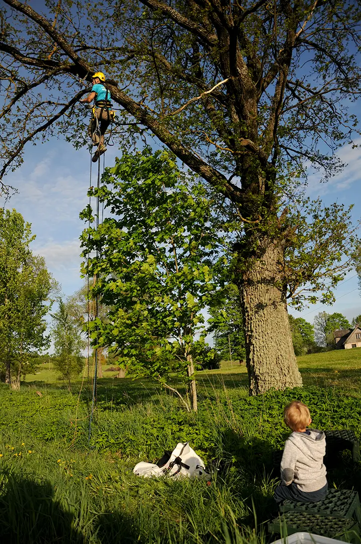 Piedzīvojumu meklētāju "Jūras zvaigznes" mācību gada noslēgums