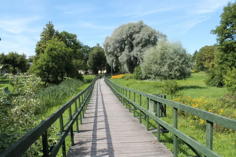 Saldus draudzei 95