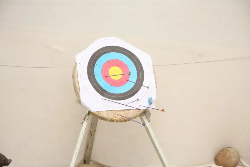 Pāru dienas 2015