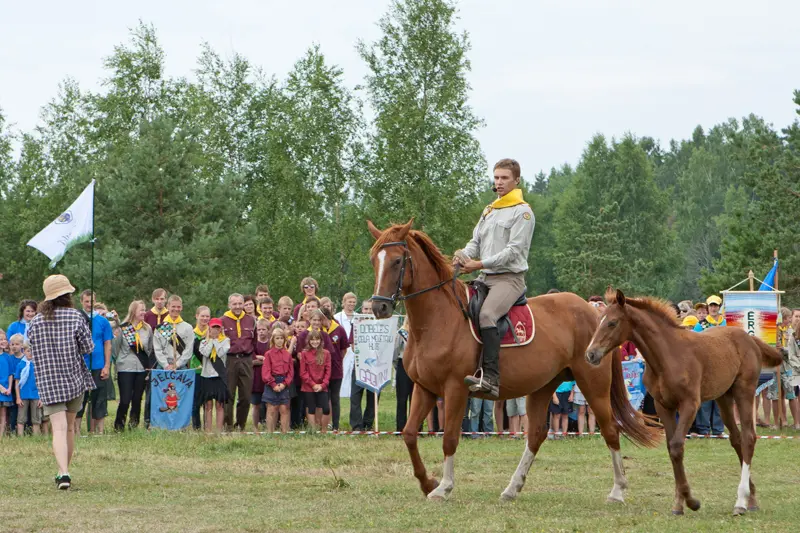Ceļa meklētāju nometne 2012