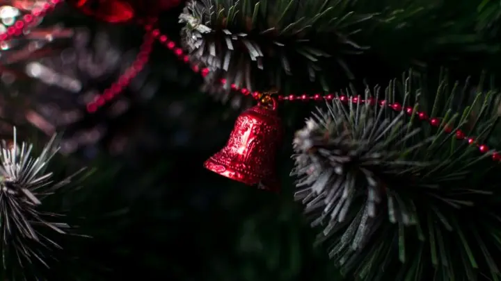 Slavenas dziesmas no Bībeles