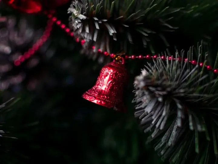 Slavenas dziesmas no Bībeles