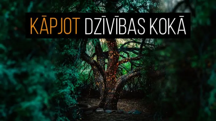 Kāpjot dzīvības kokā