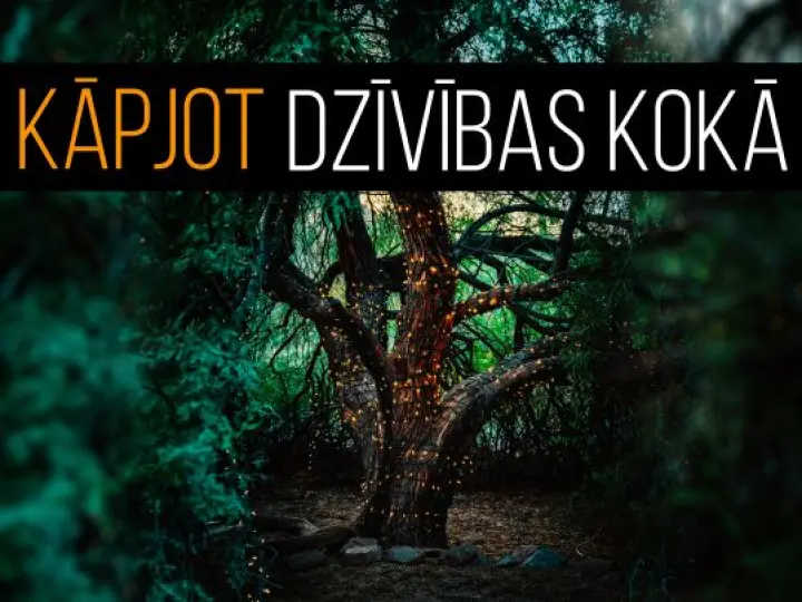 Kāpjot dzīvības kokā
