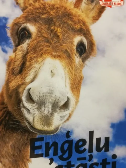 Enģeļu stāsti